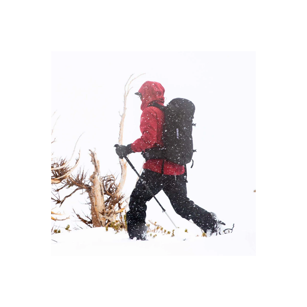 Jones Snowboard Pantalon Snow Jones High Sierra 2022 8 Jones Snowboard Pantalon Snow Jones High Sierra 2022 – Image 6