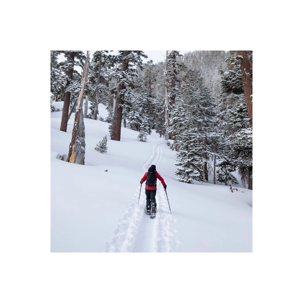 Jones Snowboard Pantalon Snow Jones High Sierra 2022 9 Jones Snowboard Pantalon Snow Jones High Sierra 2022 – Image 7