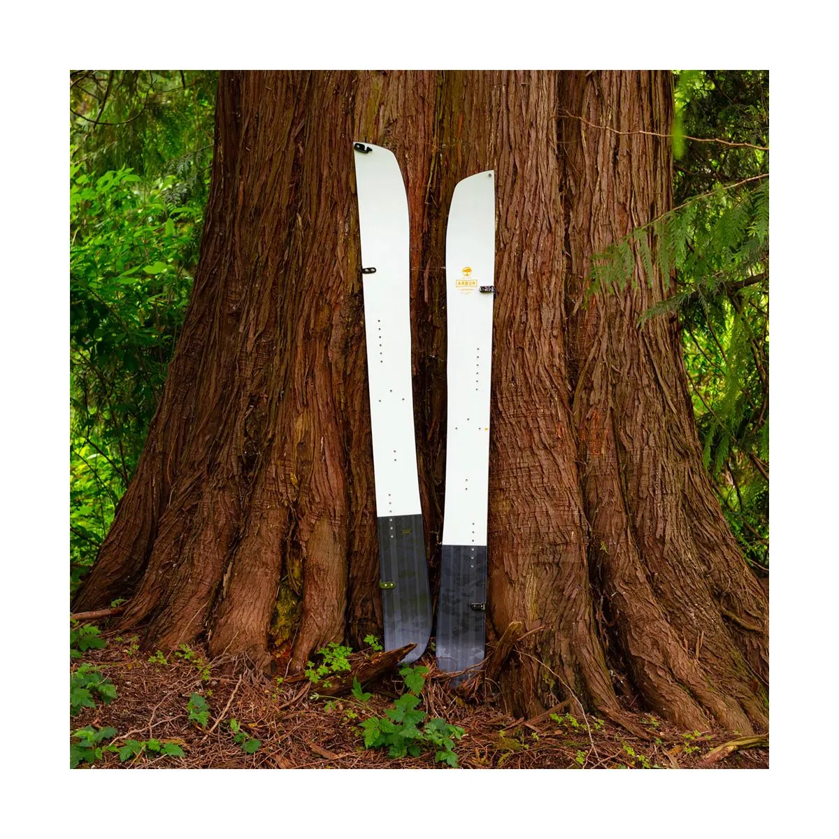 Splitboard Arbor Landmark Rocker + Peaux 2023 8 Splitboard Arbor Landmark Rocker + Peaux 2023 – Image 6