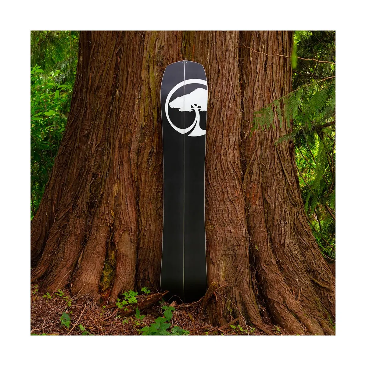 Splitboard Arbor Landmark Rocker + Peaux 2023 9 Splitboard Arbor Landmark Rocker + Peaux 2023 – Image 7