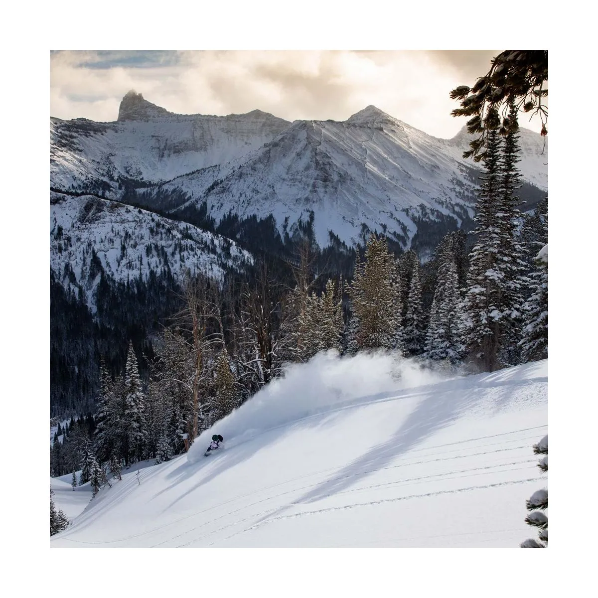 Jones Snowboard Splitboard Jones Solution Woman 2023 9 Jones Snowboard Splitboard Jones Solution Woman 2023 – Image 7